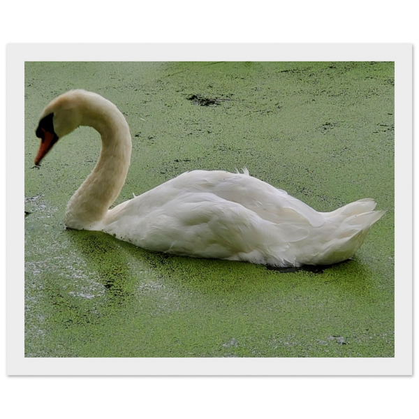 0c82bd25-e696-4ddb-85b3-4efc04ad24d8