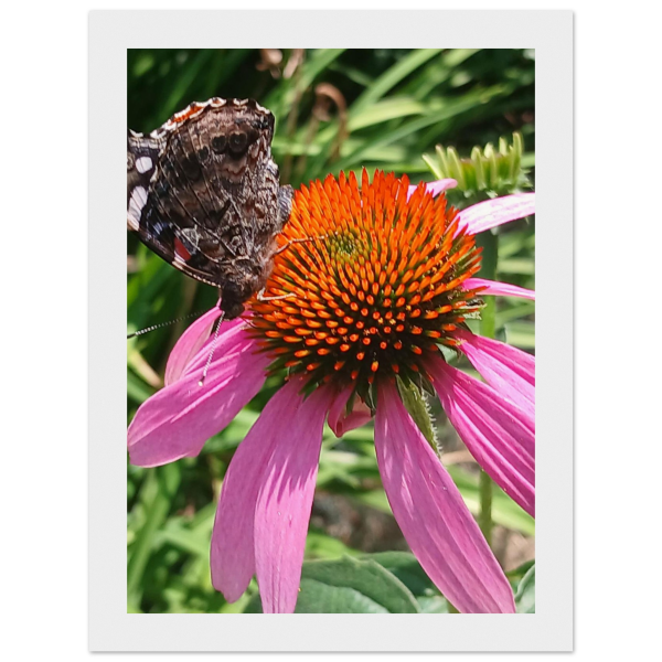 15fe8e3c-73dd-4c2f-9288-9d93a2086cff