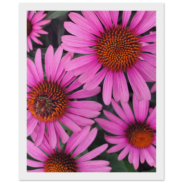 17c8932b-5ffb-4898-a317-1eda4666ebda