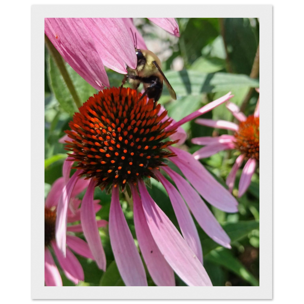 19a4efe2-0a25-4706-814b-e27d2a705b0f