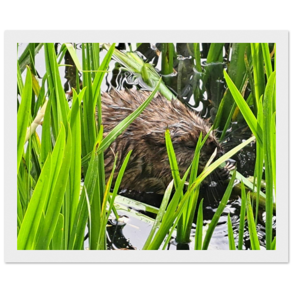 219d1903-896b-485b-b095-bc5d93628528