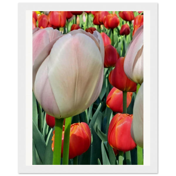 236d2183-8327-44ec-bc52-f004cd1ec1ce