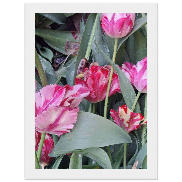 2a7ac916-3fc9-4b2d-9659-6109713cbcfe