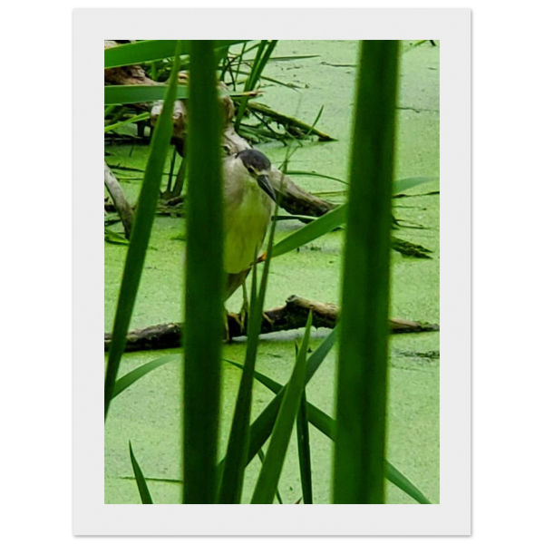 36705ac8-c223-471f-8ce0-8add93ef59fb