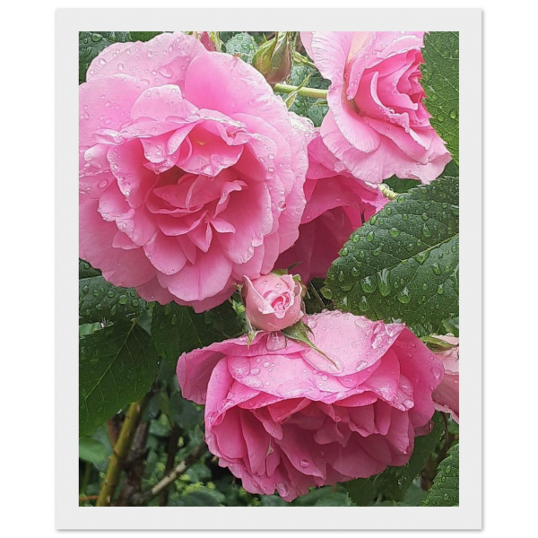 382feb7e-02ef-4999-800c-5395abafebc2