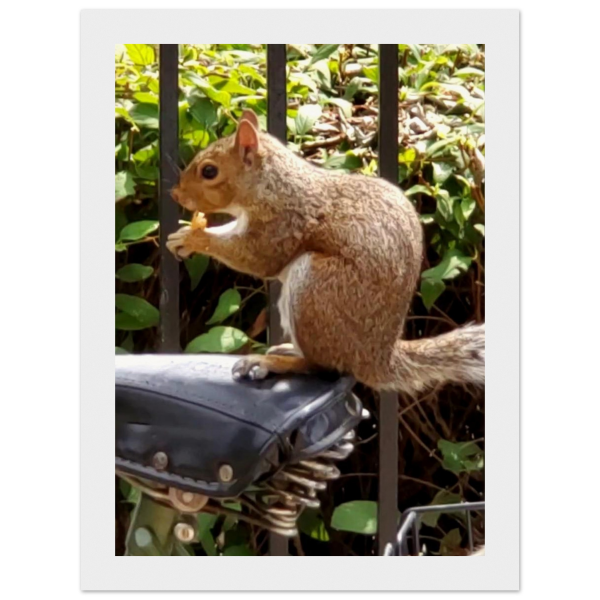 39fd9a9a-cc37-466a-8c56-604fa2321961