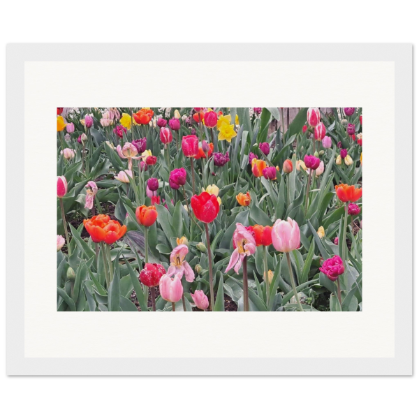 3a59cccf-97a2-48fe-8a65-934099675f0b