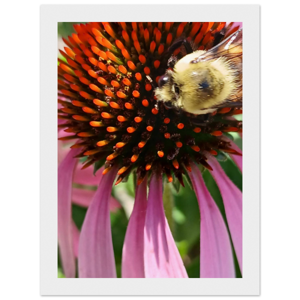 483d29f3-1e66-4c5c-90ae-61ca32d2f13e