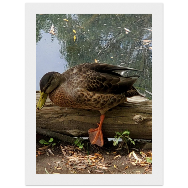 4fe9352f-629a-4f33-a950-288181b2a17e