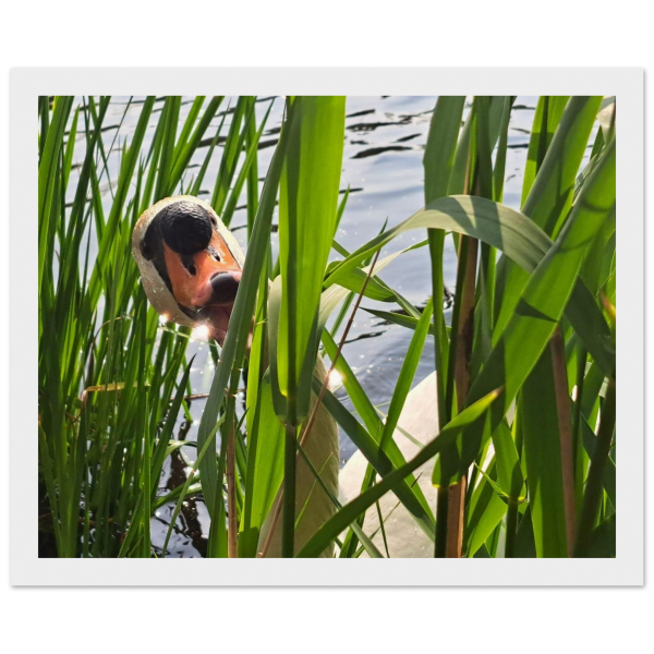 5aecfd07-e048-4e66-9b63-a92c40232233