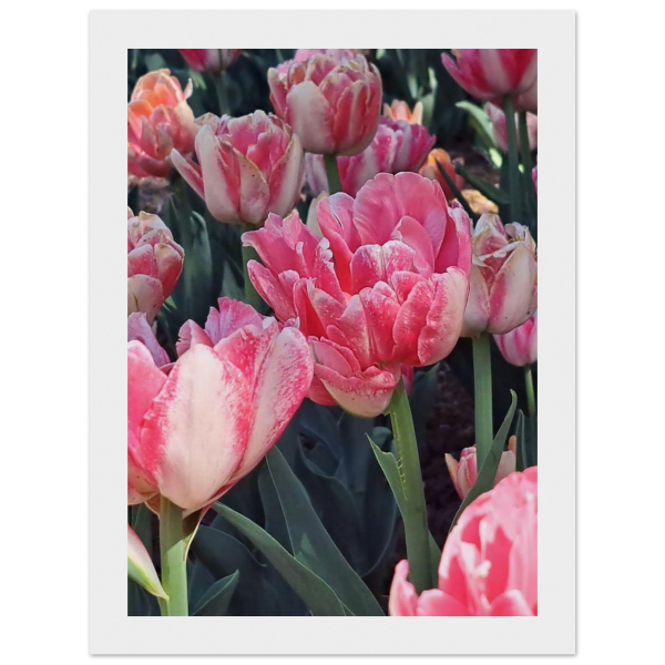 896db5c6-f8d3-48ac-80b1-882828e95399