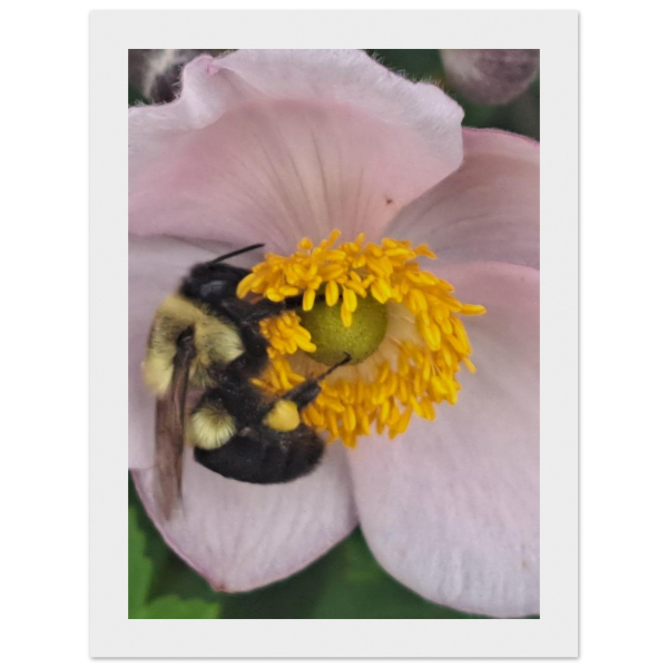 9ad958be-efaf-4222-9078-9ea2b2f9f5e5