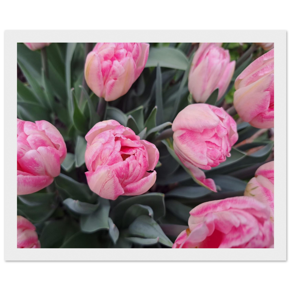 abf1a2f4-5dcd-4f28-a960-a6311e85d1dd