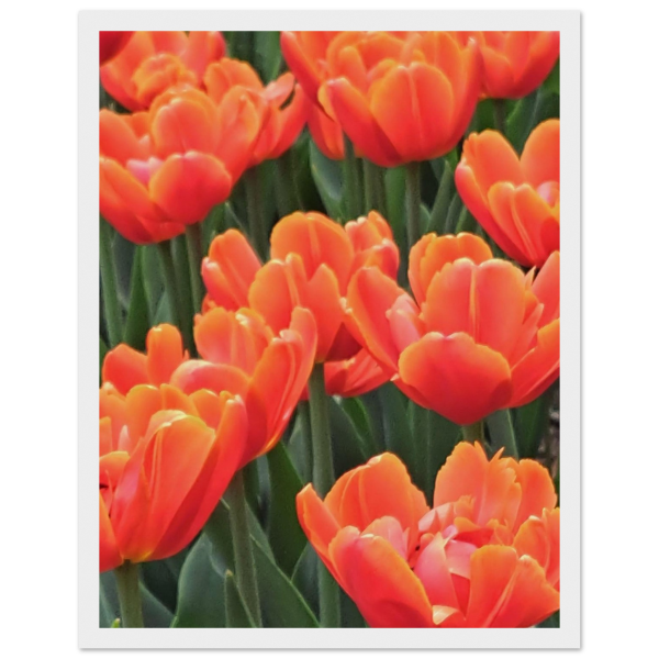 cfd334ac-dd5d-4e6c-8663-29b54d396a00