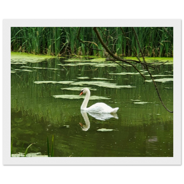 d30c5b1d-93c9-4e58-bb0e-7029c607fa7f