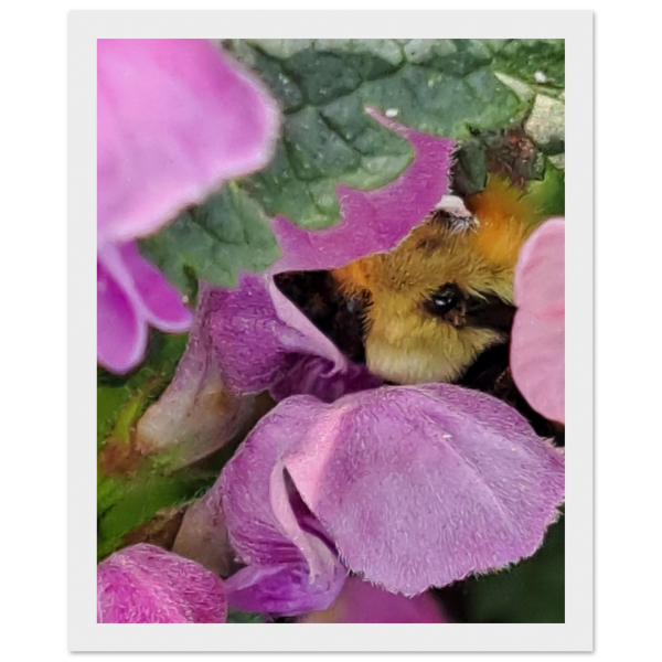 e018f664-778b-45b2-8b6c-0e65dc75098e