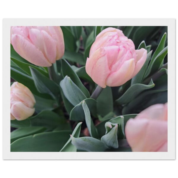 e4616c76-19dc-4e1e-b883-0186c0687230