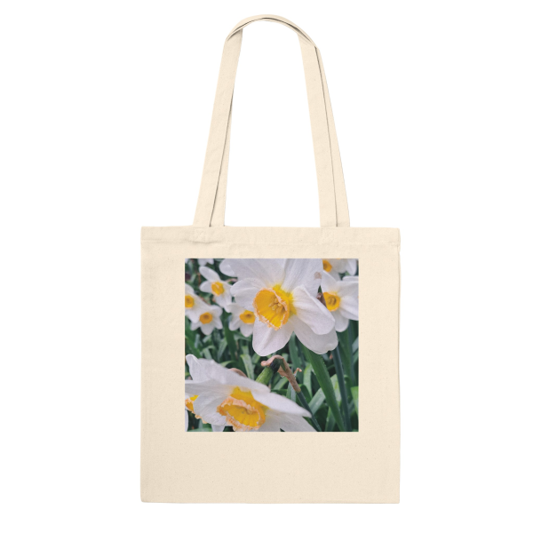 fe212312-e3b5-4c15-bf56-ae1c09e35775